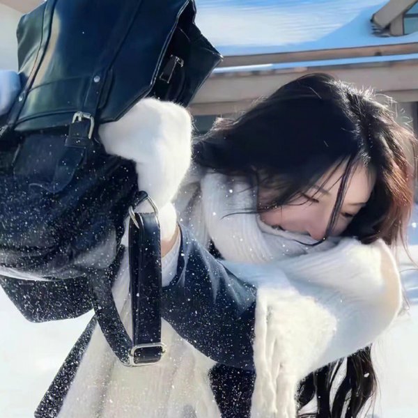 浪漫闪婚进行时